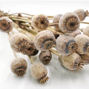 DRIED PAPAVER PODS(GRADE A 7kg