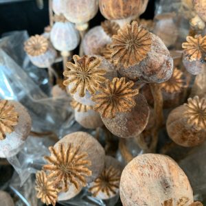 Dried Poppy Pods(10kg)